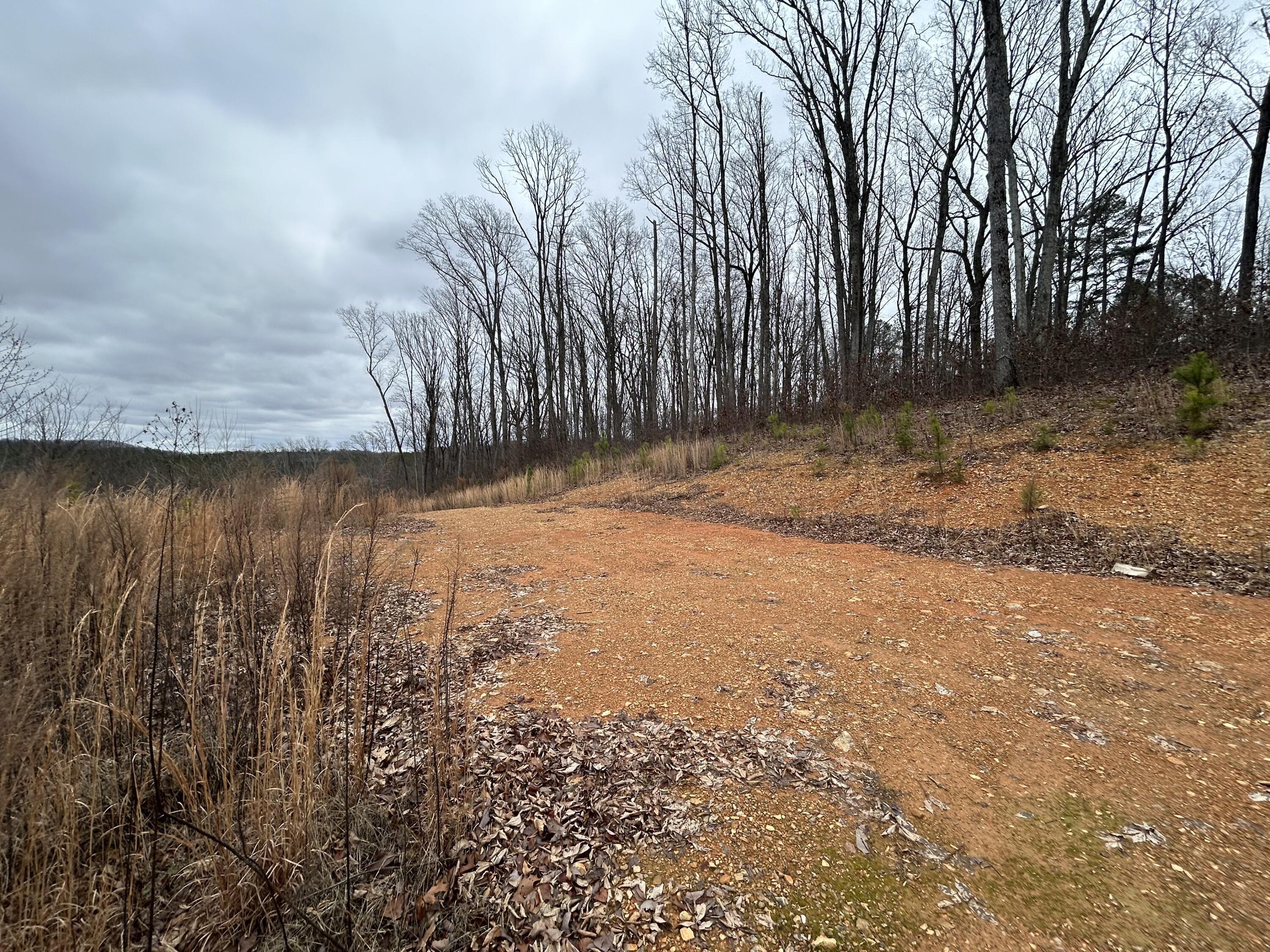 1302 East Emerson Road Cohutta, GA 30710 - Photo 9 of 19 IMG_1103
