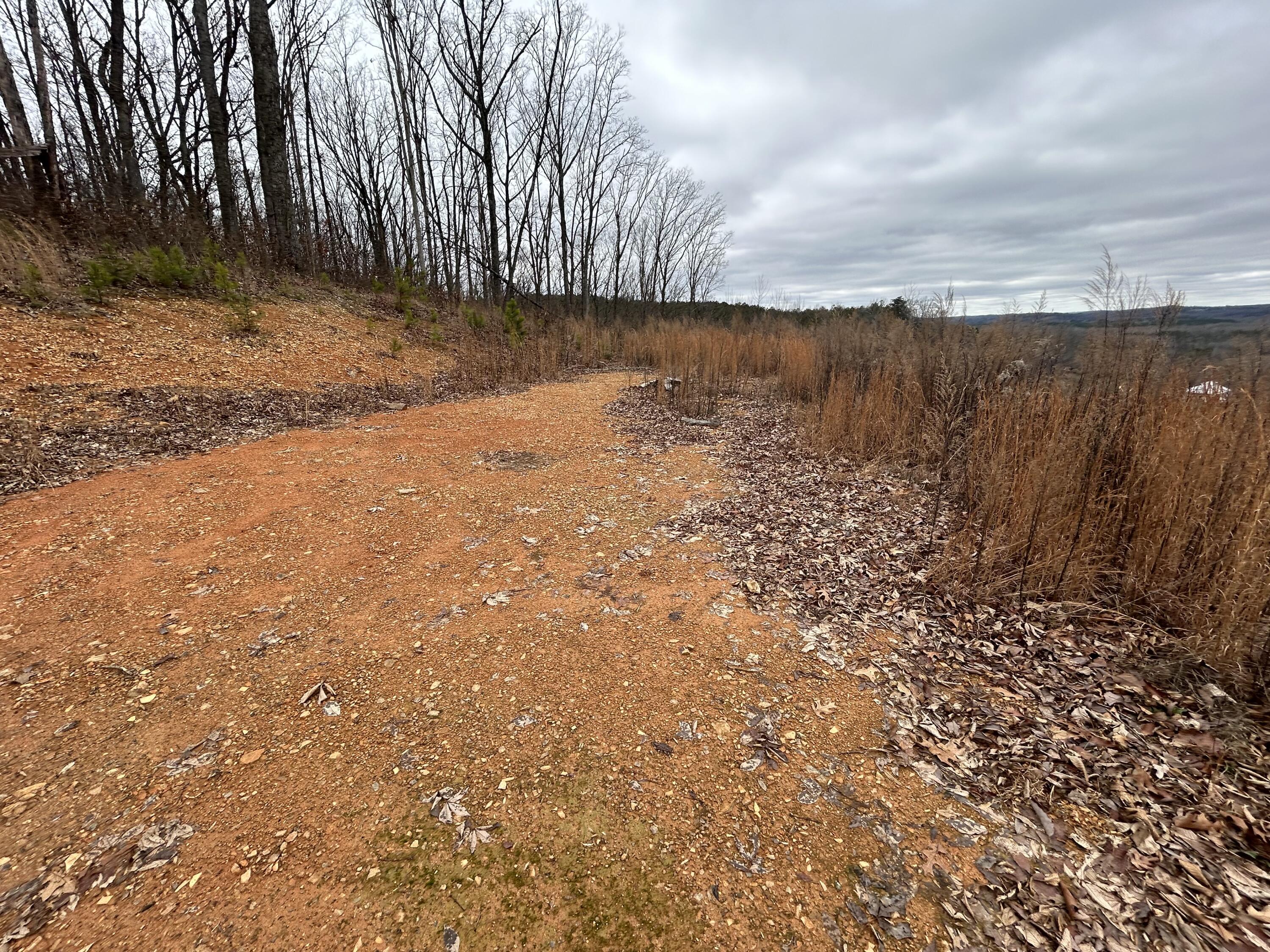 1302 East Emerson Road Cohutta, GA 30710 - Photo 10 of 19 IMG_1104