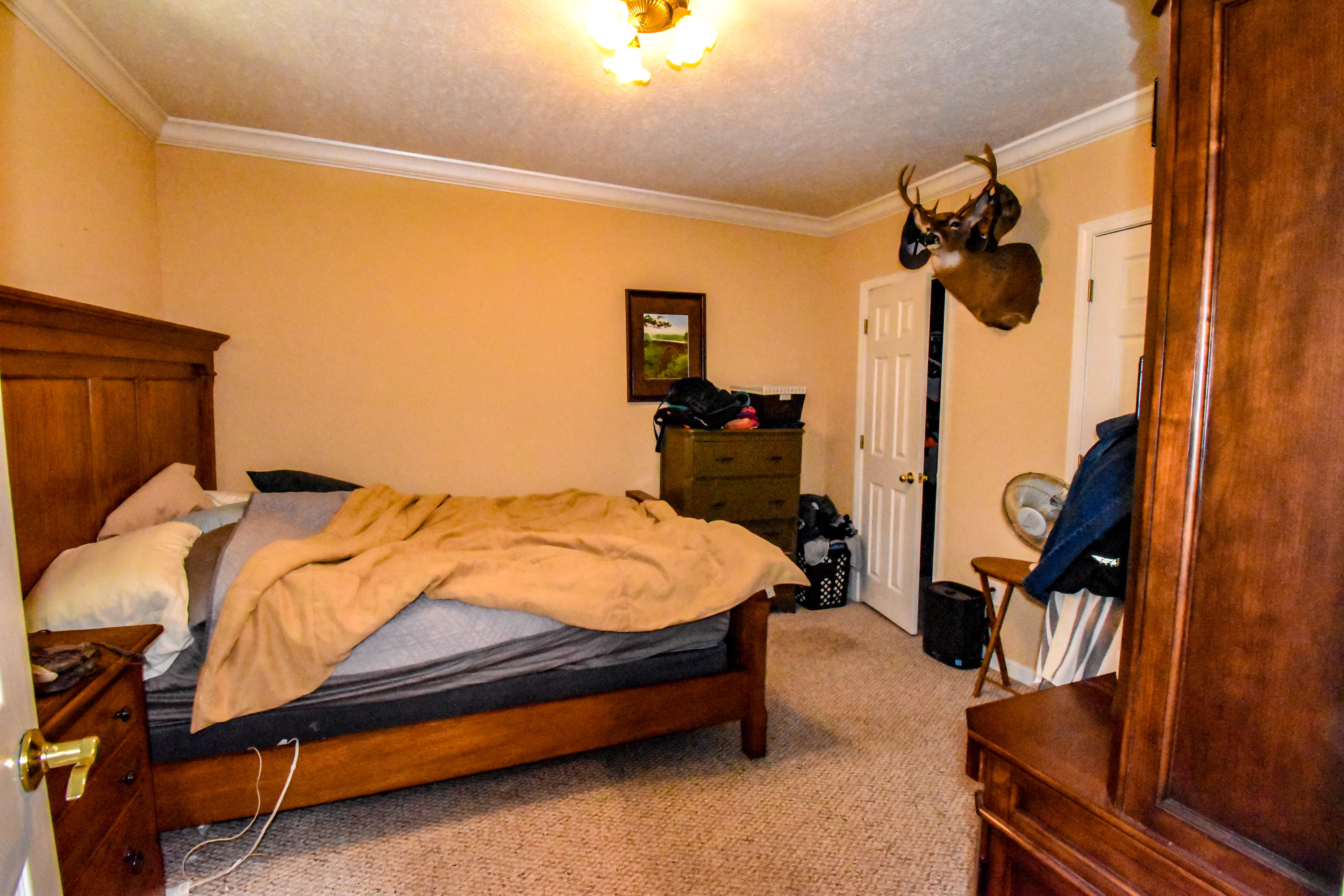 2438 East Wolf Valley Road Clinton, TN 37716 - Photo 15 of 15 Bedroom #2