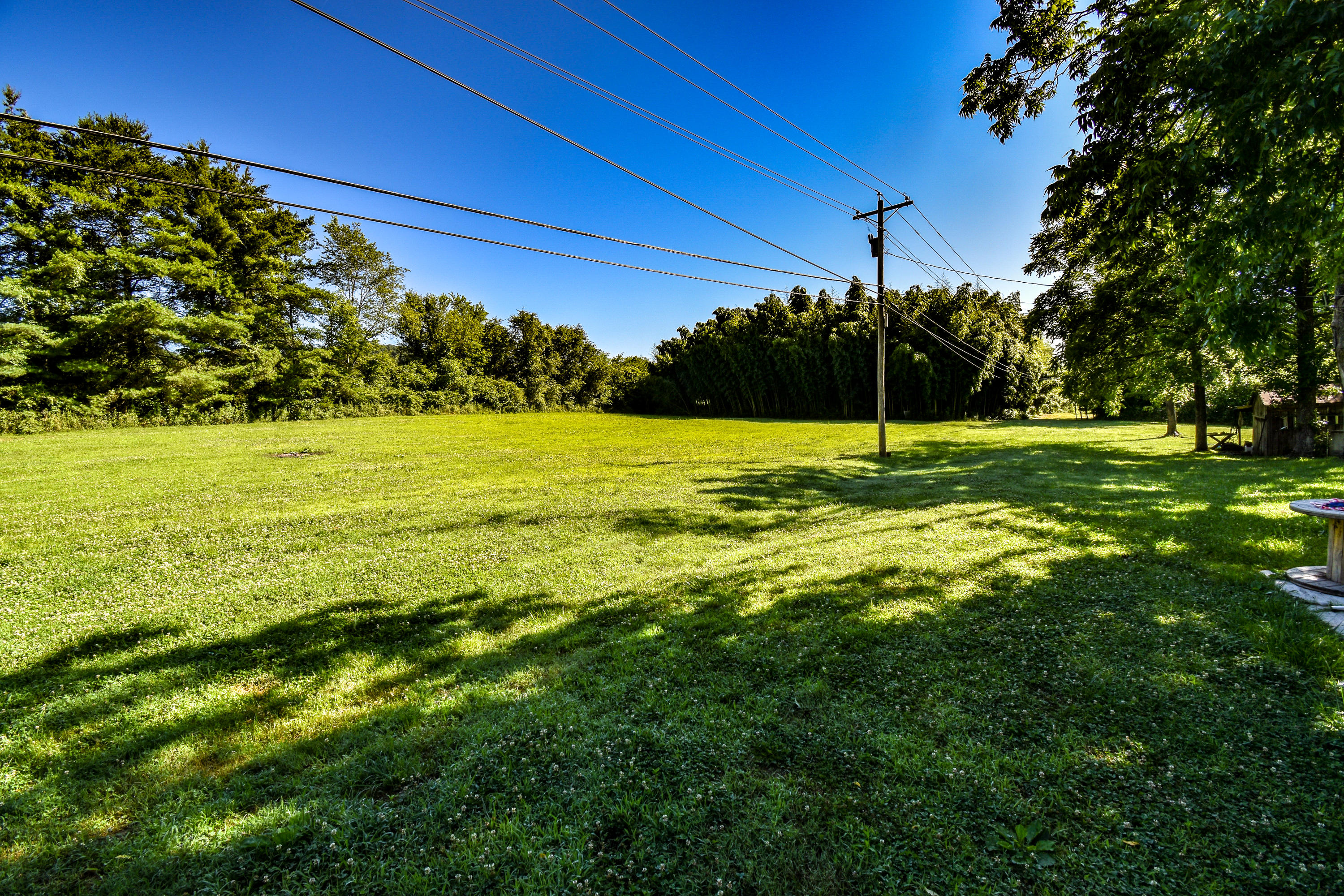 2438 East Wolf Valley Road Clinton, TN 37716 - Photo 4 of 15 Large Yard lots of space!