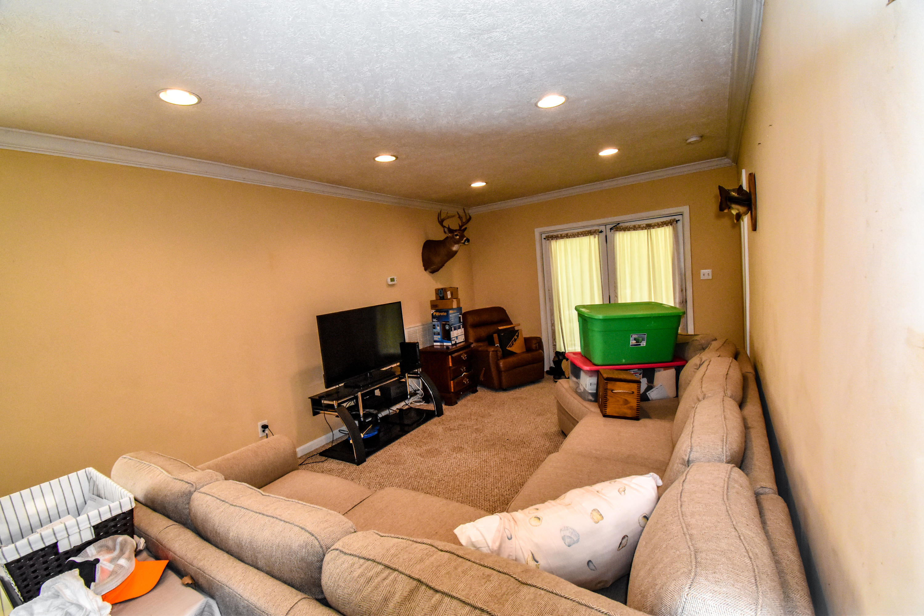 2438 East Wolf Valley Road Clinton, TN 37716 - Photo 6 of 15 Cozy living room
