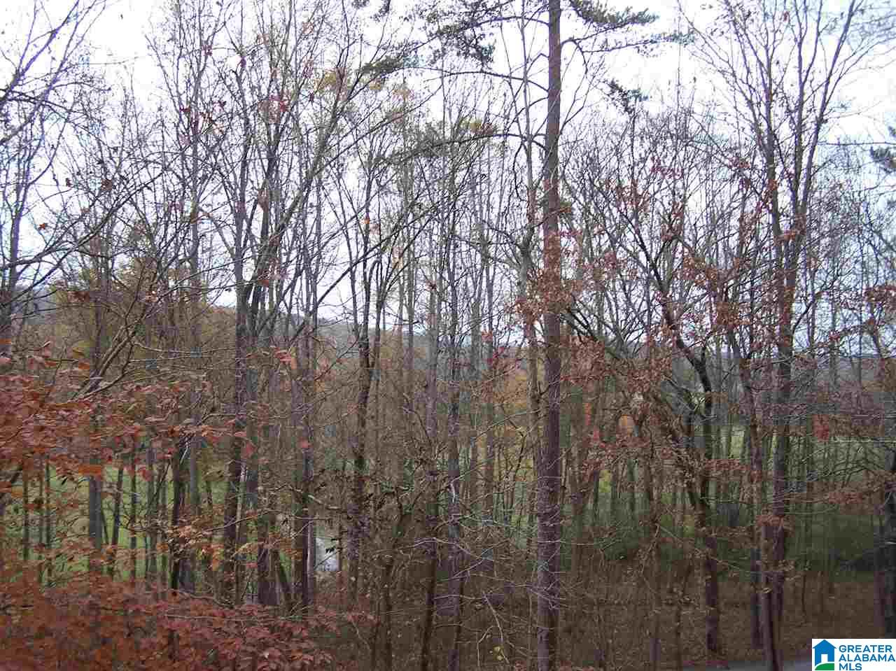 2783 Springville Boulevard Oneonta, AL 35121 - Photo 14 of 21