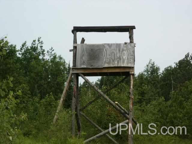 Tbd Off Floodwood Road Republic, MI 49879 - Photo 15 of 15