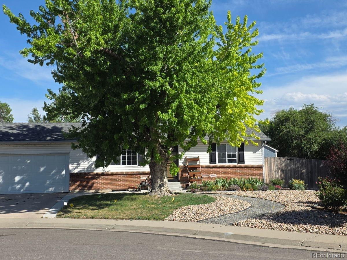 11410 Madison Street Denver, CO 80233 - Photo 2 of 12
