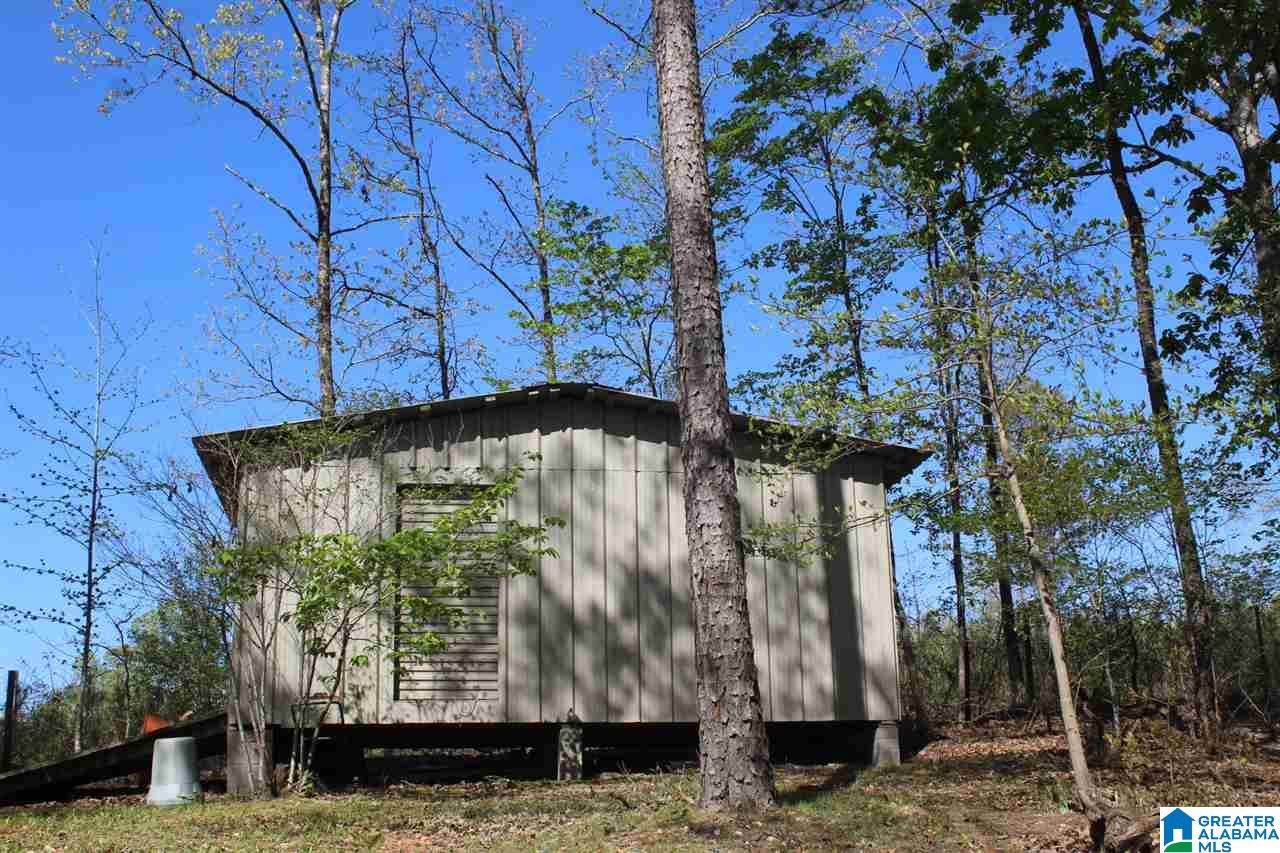 185 Wilson Glenn Road Wilsonville, AL 35186 - Photo 12 of 13