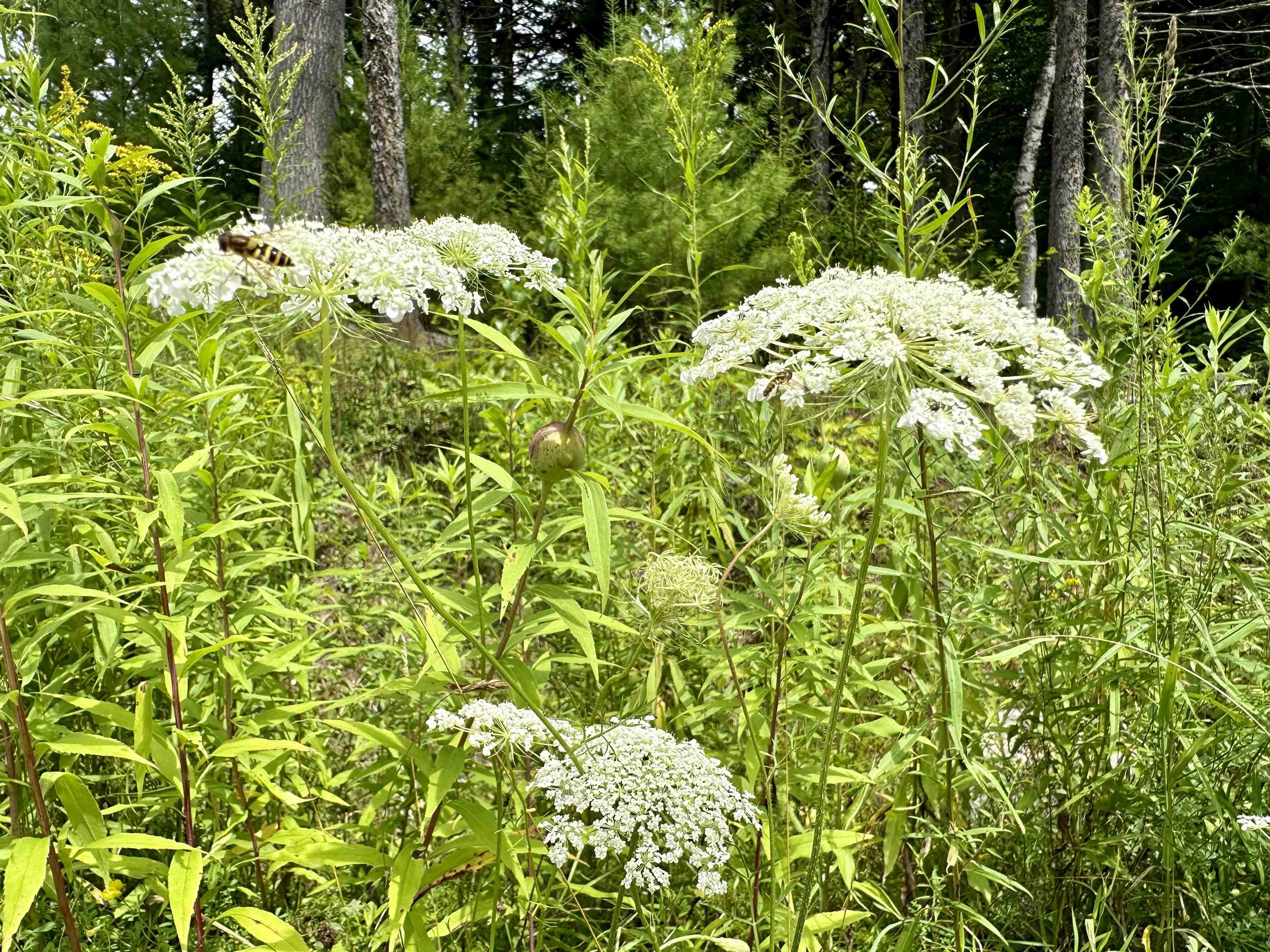 0 Knolls Road, Unit 2 Warren, VT 05674 - Photo 23 of 23 Gallery Image 23
