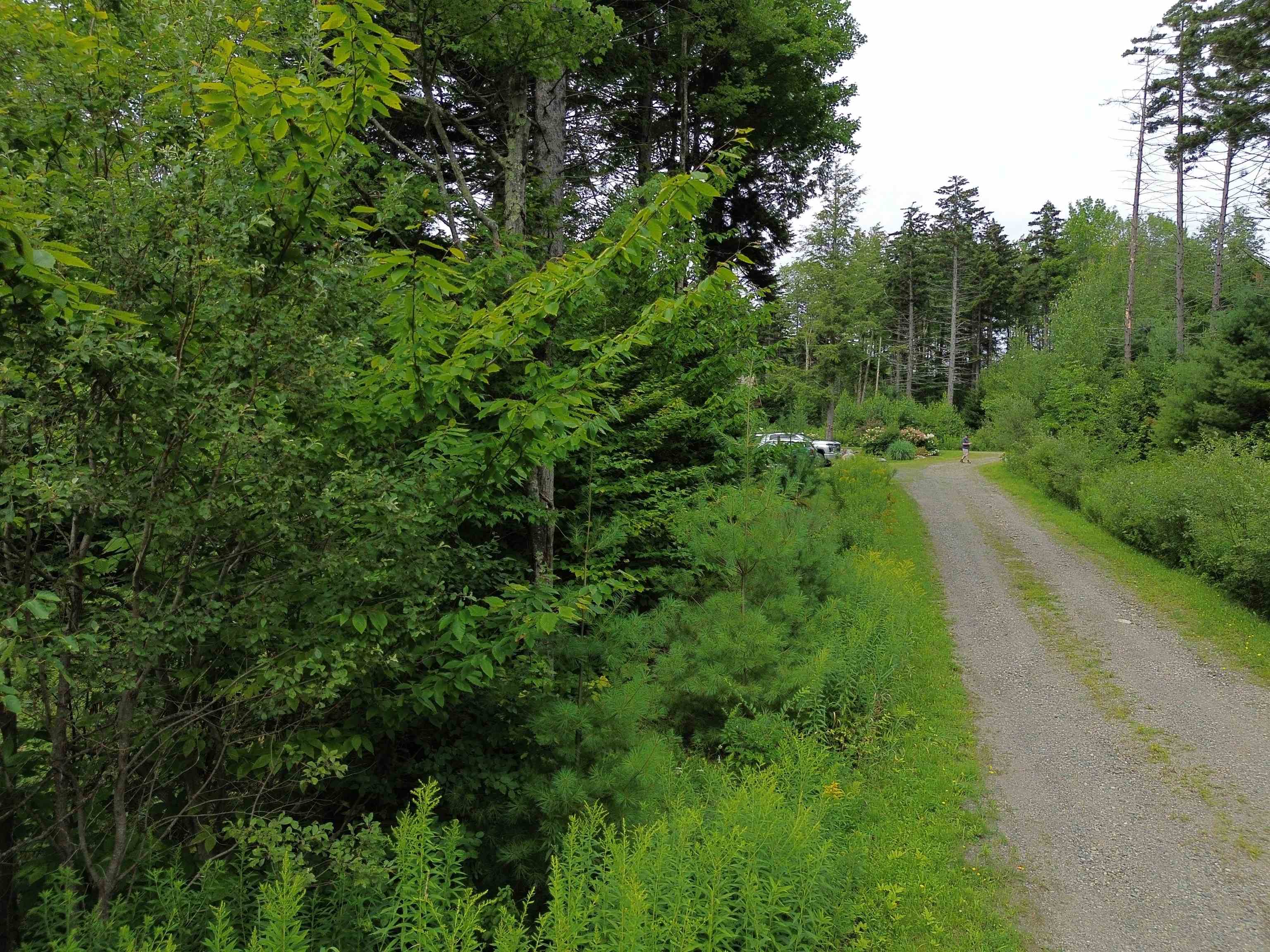 0 Knolls Road, Unit 2 Warren, VT 05674 - Photo 9 of 23 Gallery Image 9