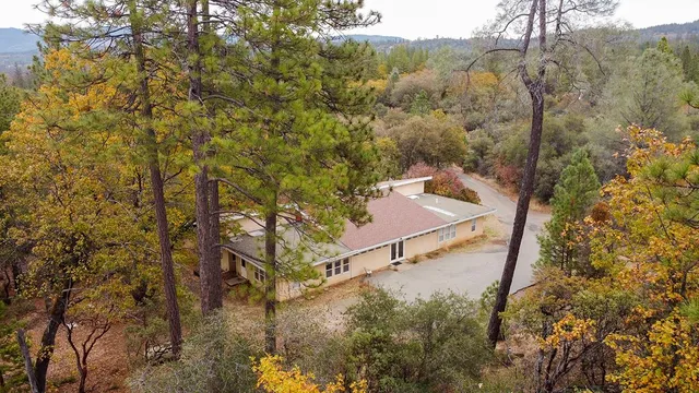 a view of a yard with plants and wooden fence