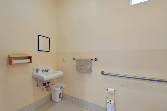 a bathroom with a sink a toilet and a mirror