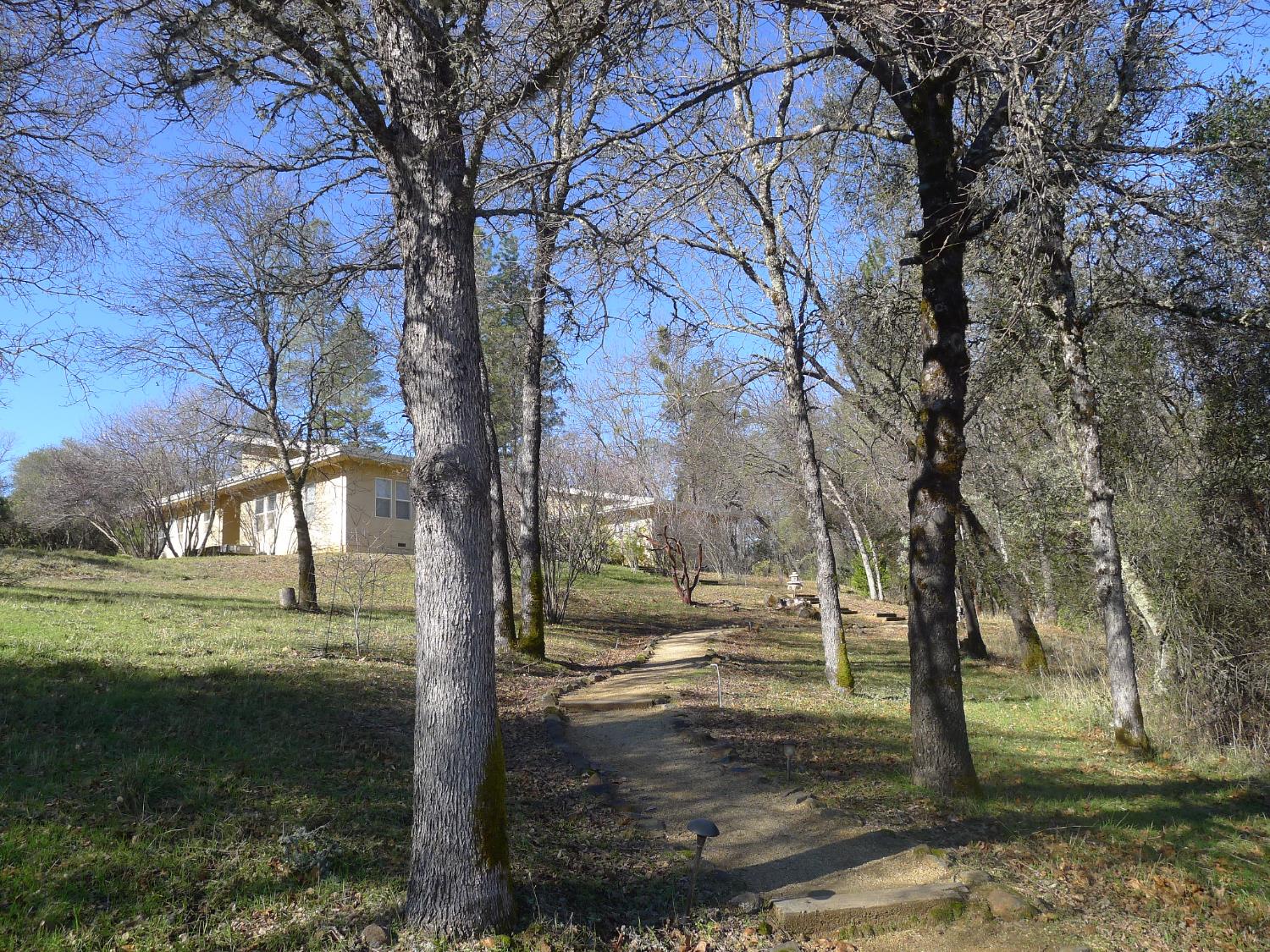 13376 Rue Montaigne Oregon House, CA 95962 - Photo 5 of 45 a view of a park that has large trees