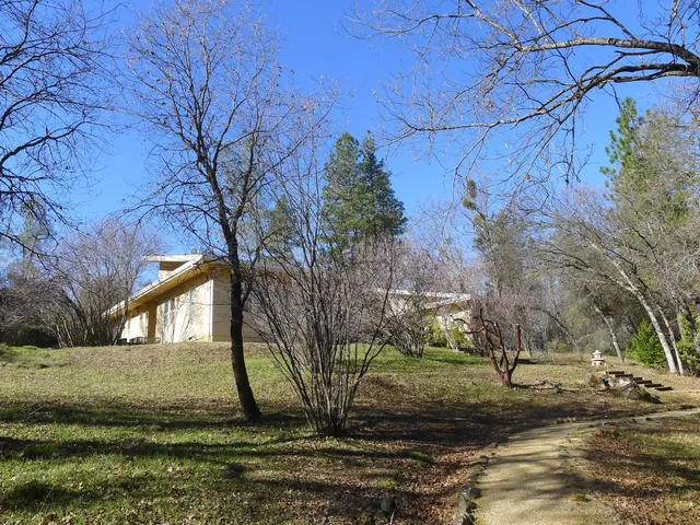 a view of a yard with yellow lighting
