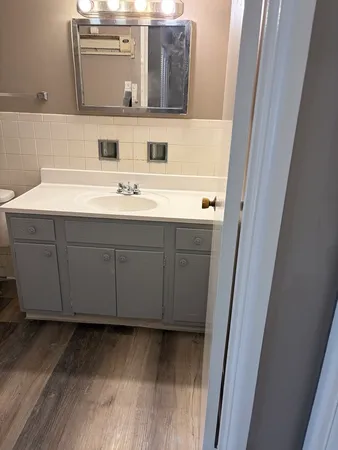 a bathroom with a sink and a mirror
