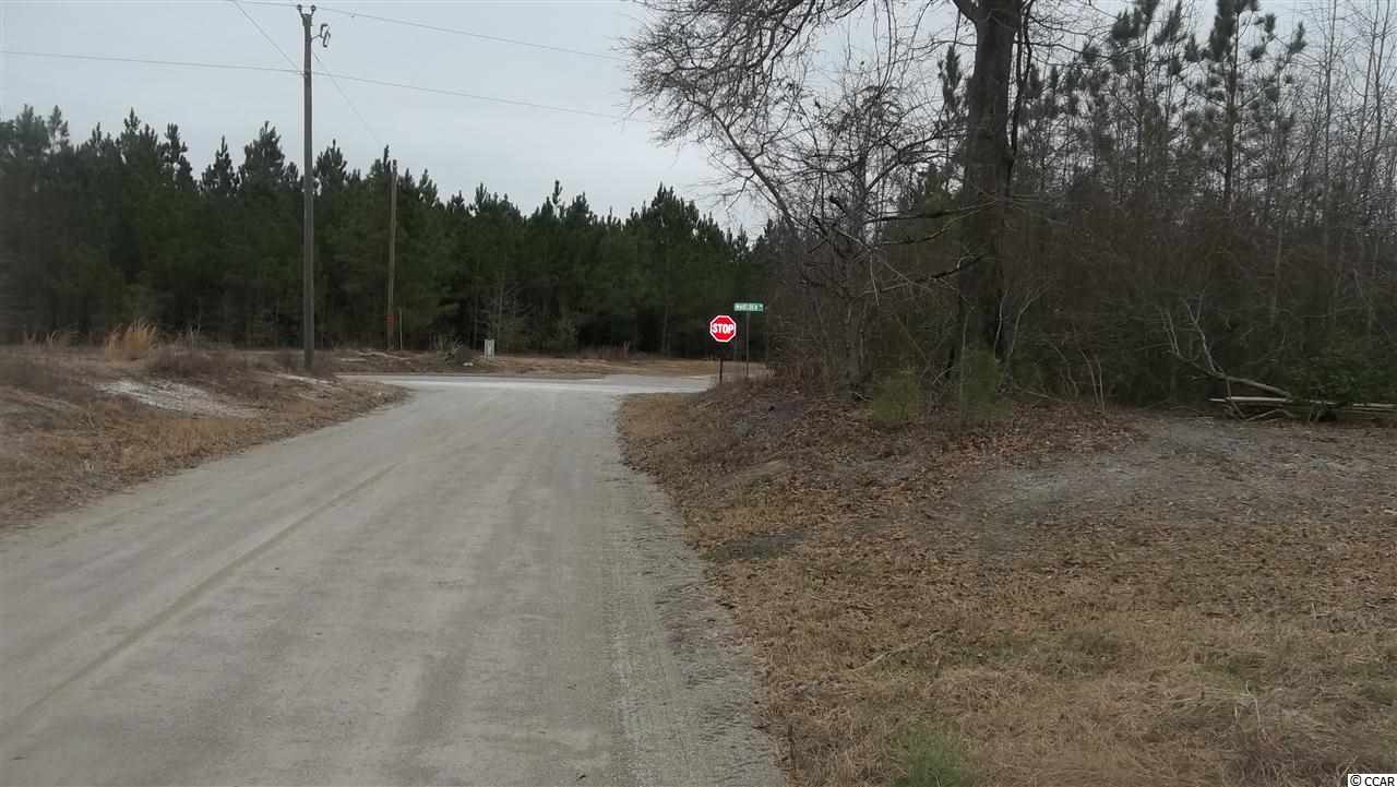 0 Horsecreek Road Aynor, SC 29511 - Photo 3 of 3 Gallery Image 3