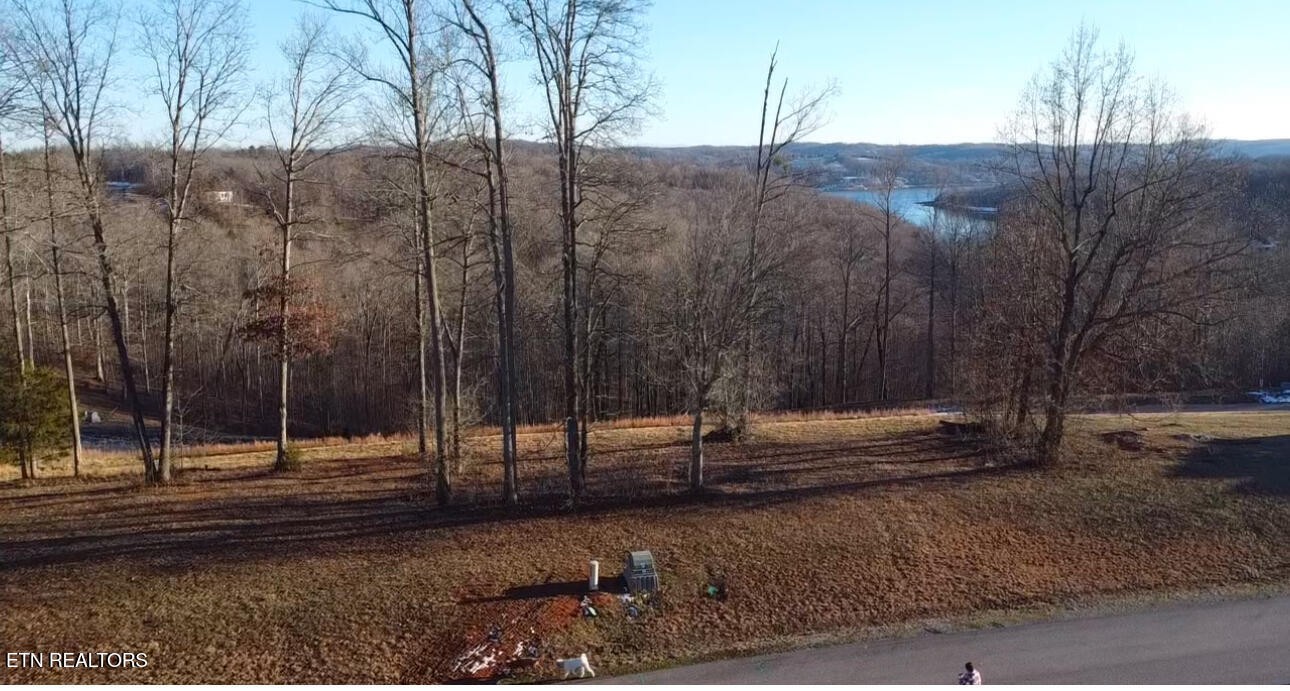 612 Prestige Road La Follette, TN 37766 - Photo 1 of 6 Gallery Image 1