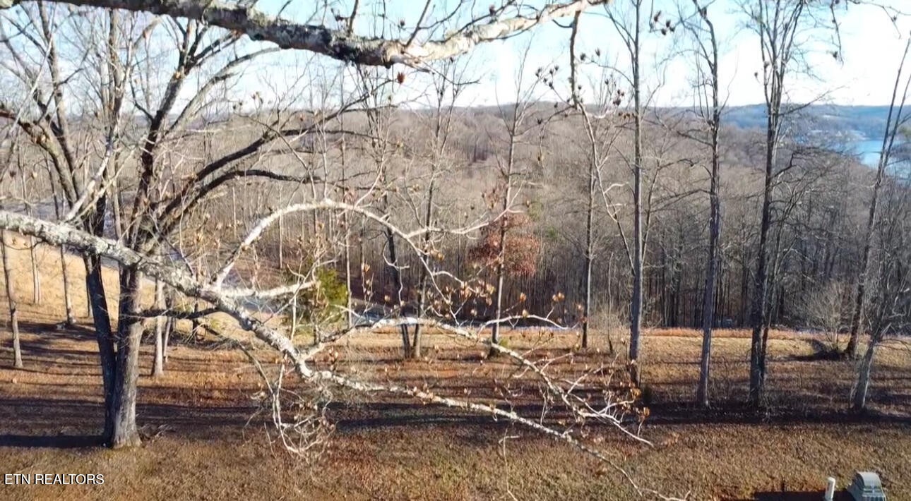612 Prestige Road La Follette, TN 37766 - Photo 3 of 6 Gallery Image 3