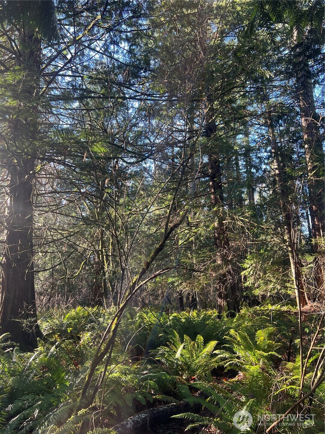 0 Tyee Drive Point Roberts, WA 98281 - Photo 7 of 19