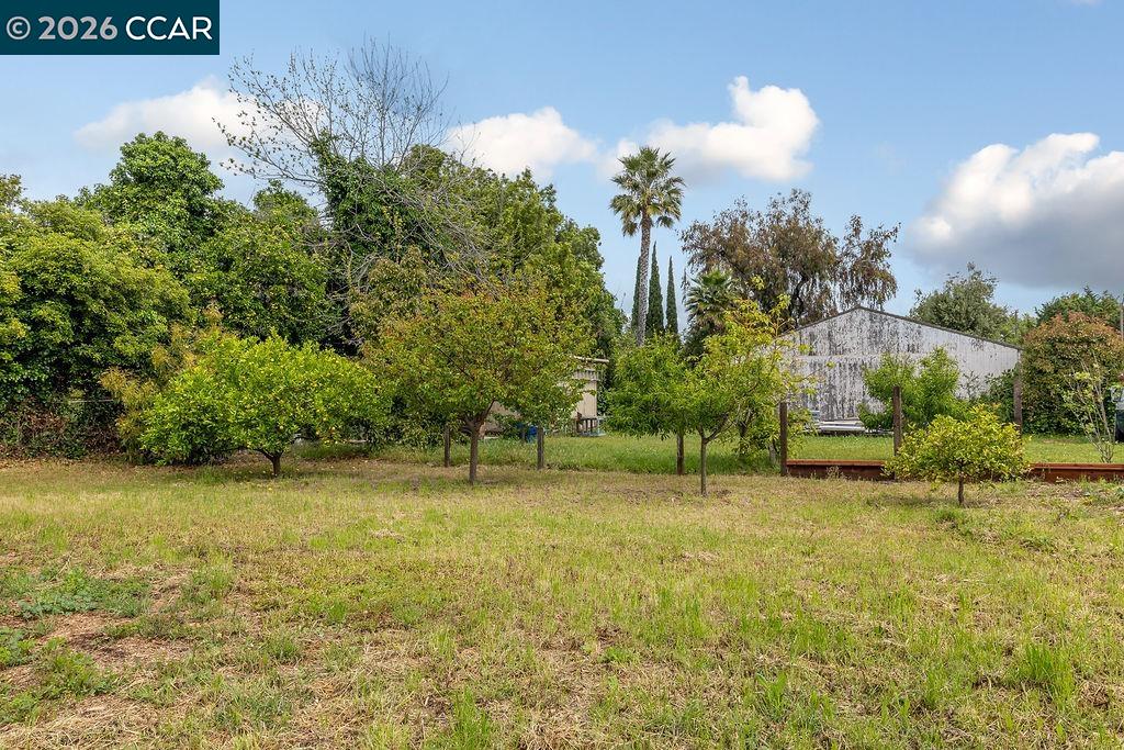 710 Grove Way Hayward, CA 94541 - Photo 47 of 55