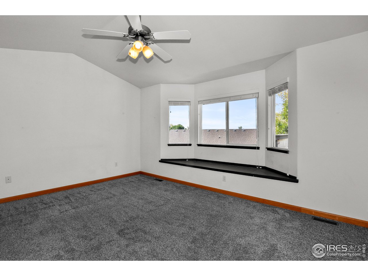 205 Timber Ridge Court Severance, CO 80550 - Photo 20 of 48 Gallery Image 20