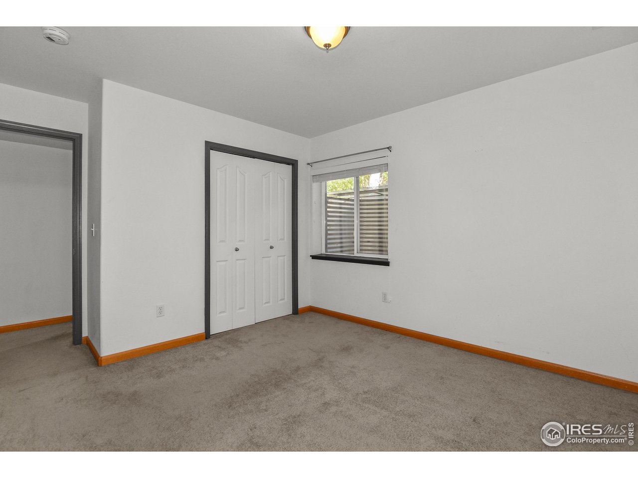 205 Timber Ridge Court Severance, CO 80550 - Photo 30 of 48 Gallery Image 30