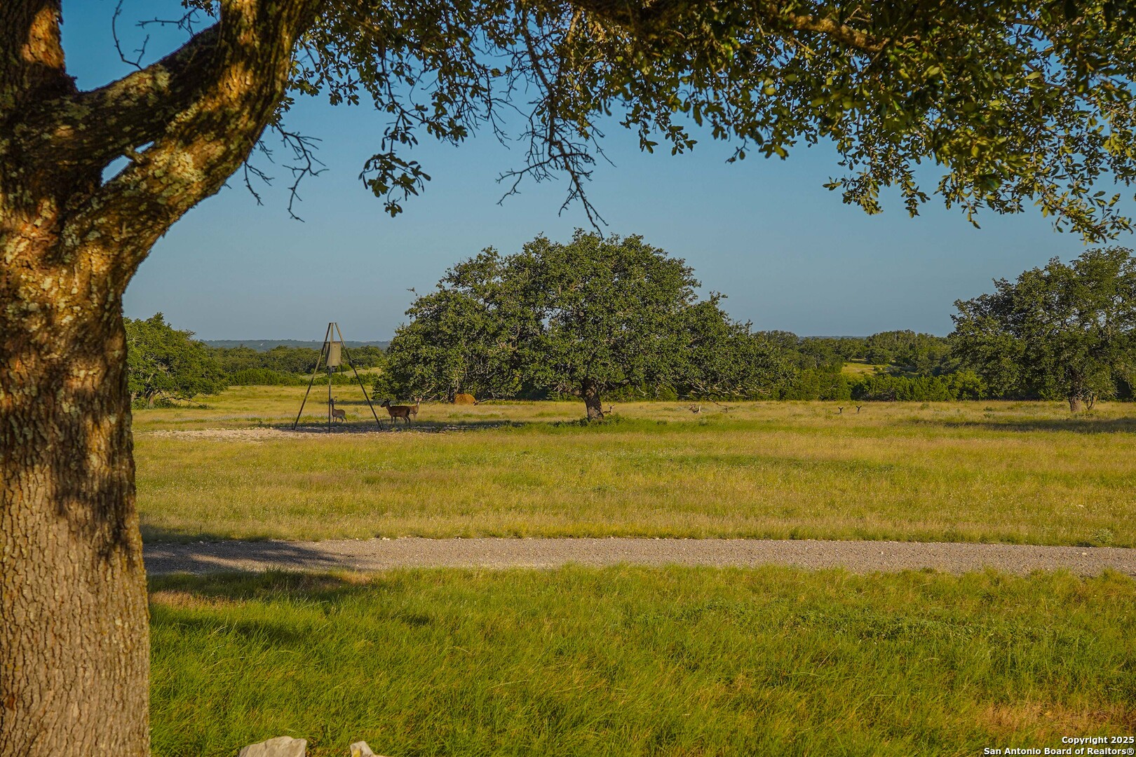 13105 Interstate 10 Service Road Junction, TX 76849 - Photo 18 of 82 a view of an ocean and a mountain