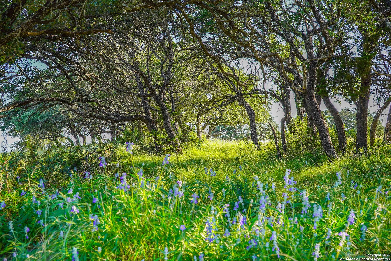 13105 Interstate 10 Service Road Junction, TX 76849 - Photo 51 of 82 a backyard of a house with lots of swings and slides