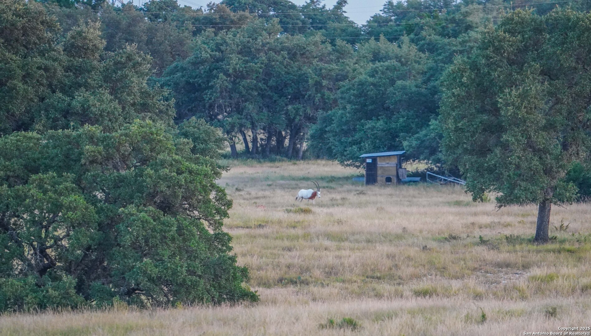 13105 Interstate 10 Service Road Junction, TX 76849 - Photo 55 of 82