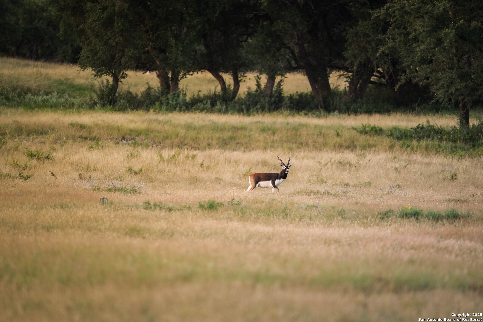 13105 Interstate 10 Service Road Junction, TX 76849 - Photo 57 of 82 a view of a lake