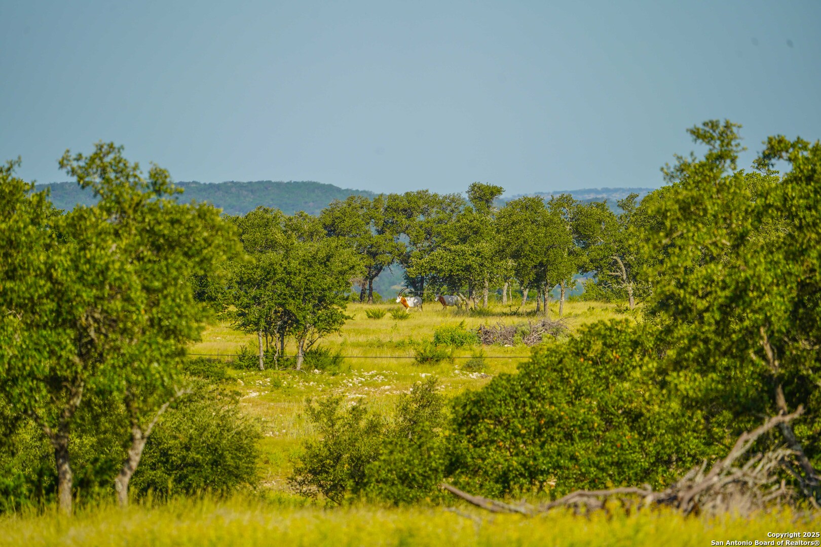 13105 Interstate 10 Service Road Junction, TX 76849 - Photo 58 of 82