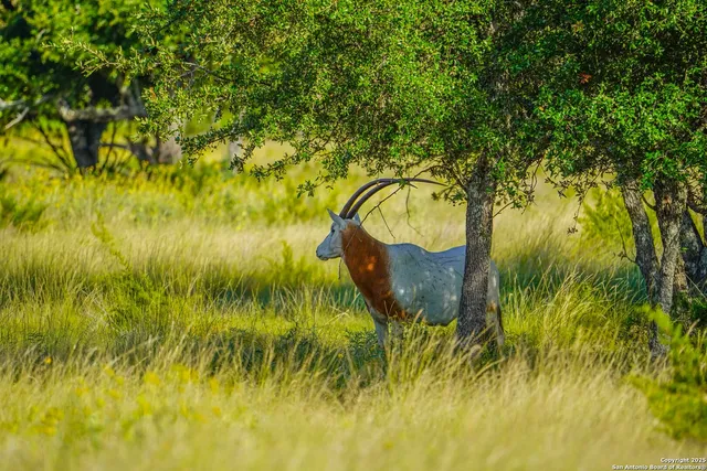 $4,950,000 | 13105 Interstate 10 Service Road, Junction, TX 76849