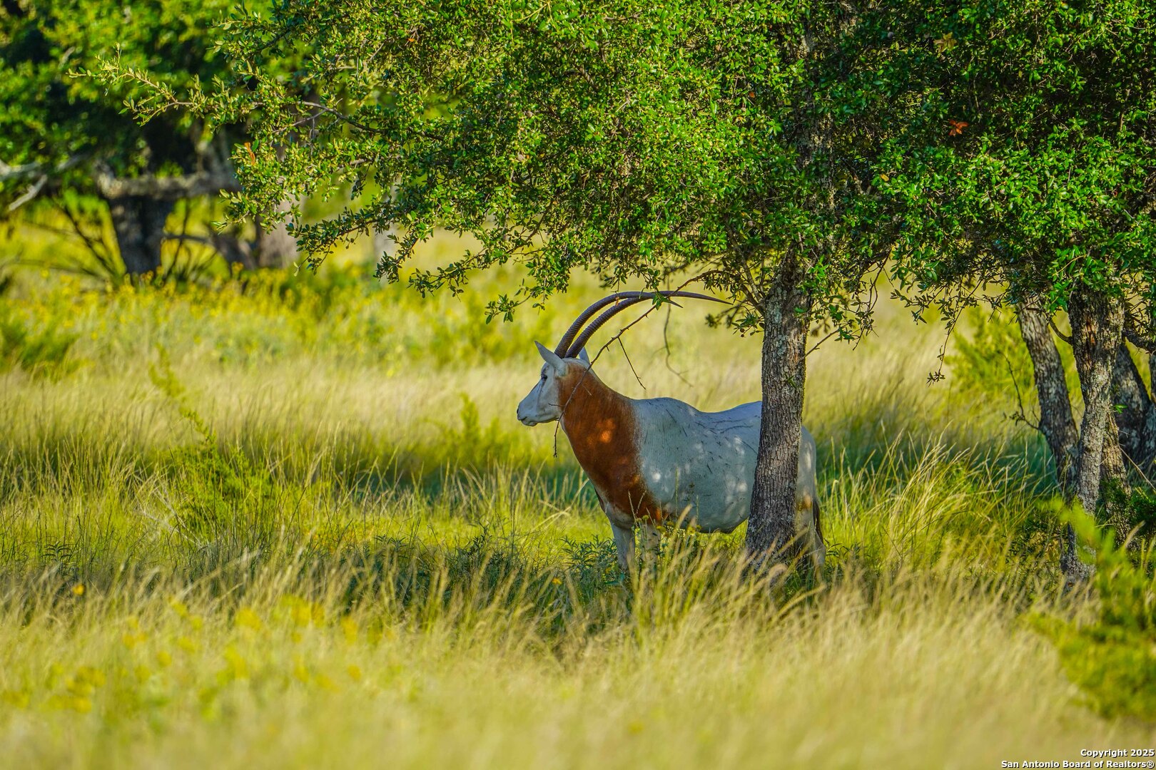 13105 Interstate 10 Service Road Junction, TX 76849 - Photo 59 of 82