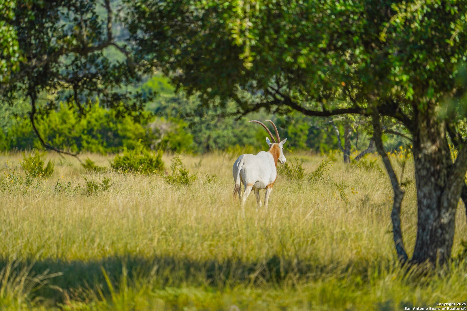 13105 Interstate 10 Service Road Junction, TX 76849 - Photo 60 of 82