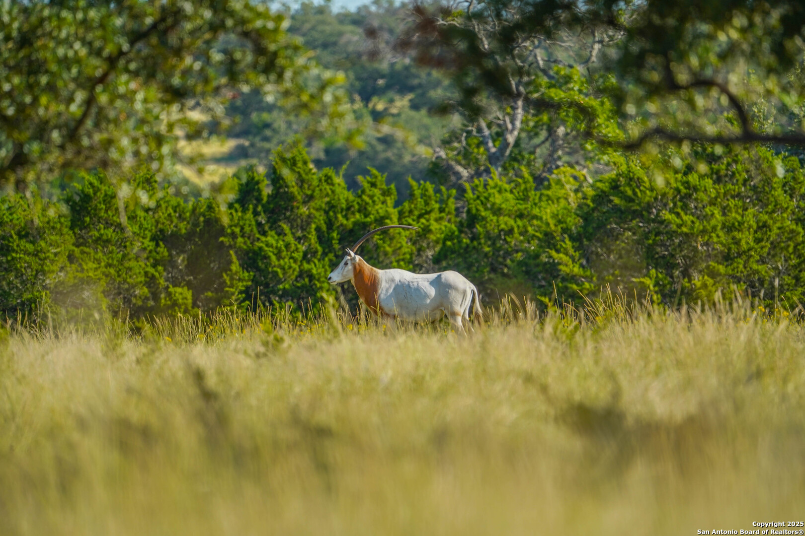 13105 Interstate 10 Service Road Junction, TX 76849 - Photo 61 of 82