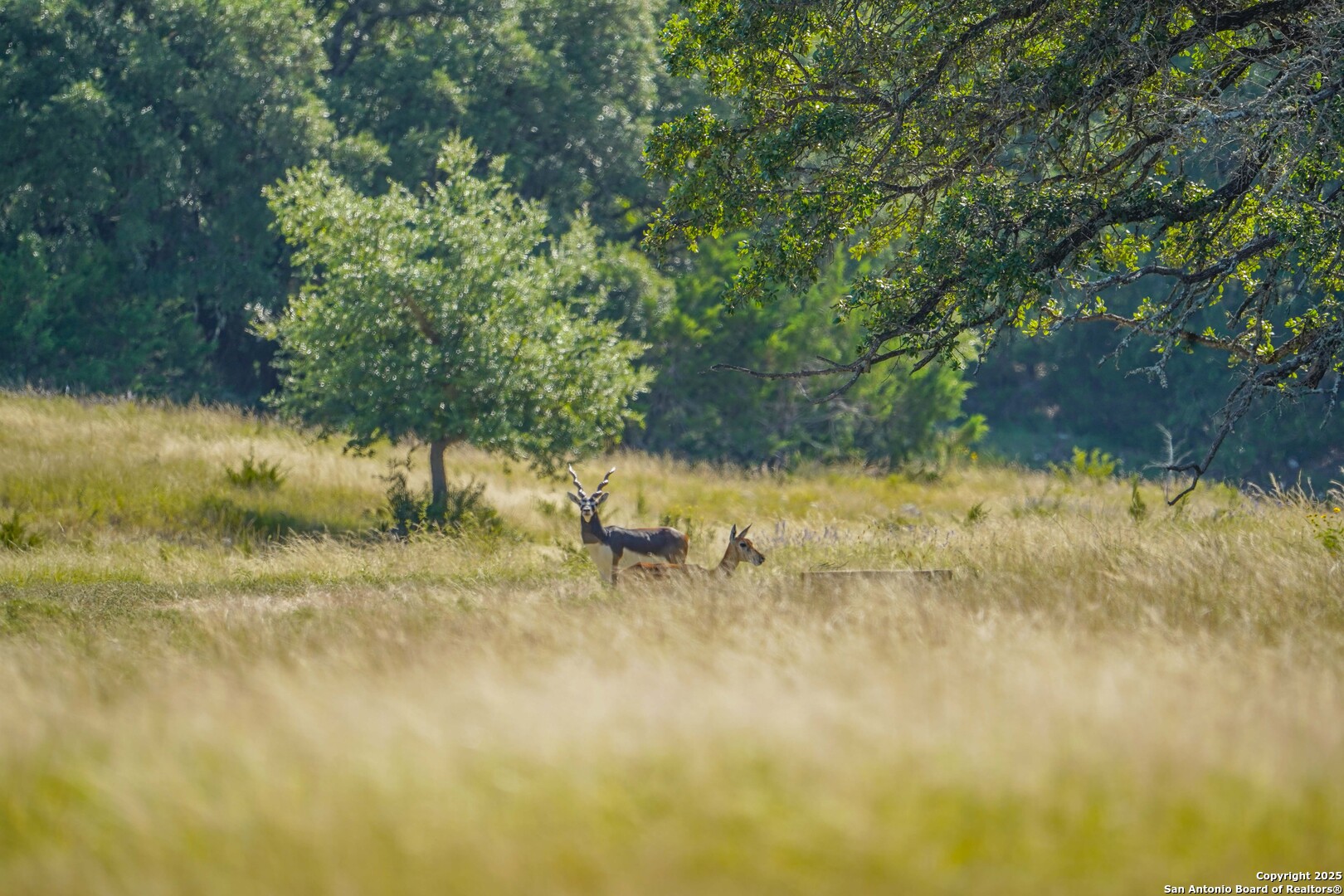 13105 Interstate 10 Service Road Junction, TX 76849 - Photo 64 of 82