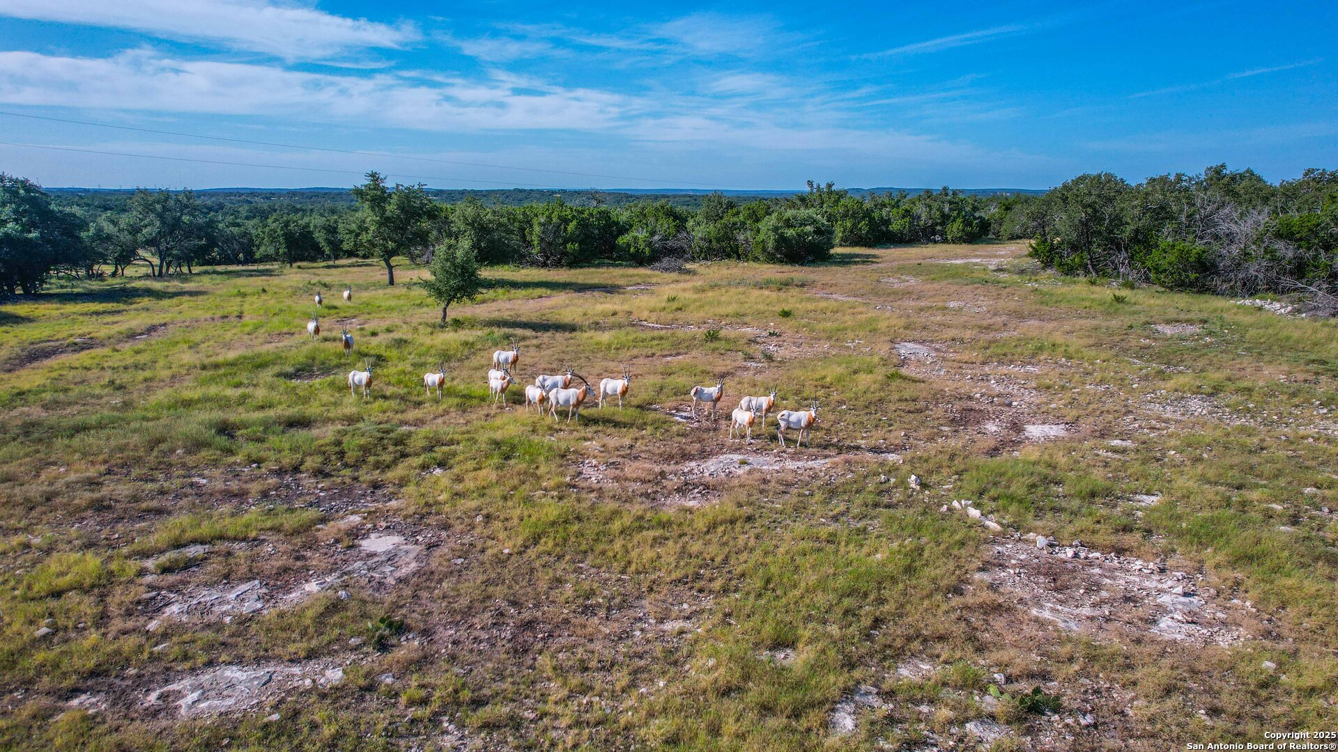 13105 Interstate 10 Service Road Junction, TX 76849 - Photo 75 of 82 a view of a field with an trees
