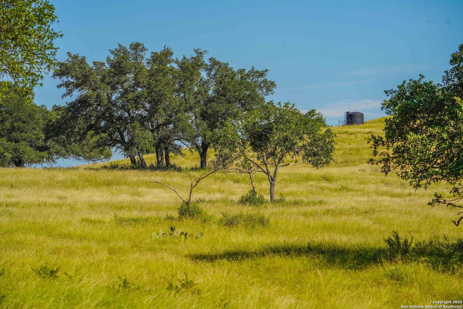 13105 Interstate 10 Service Road Junction, TX 76849 - Photo 8 of 82 a view of a yard with swimming pool