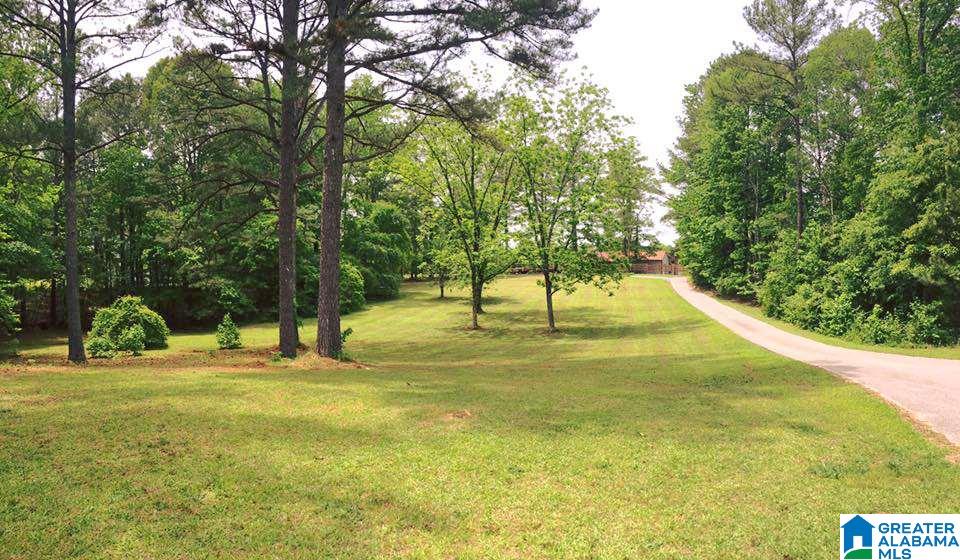 132 Holiday Lane Chelsea, AL 35043 - Photo 17 of 50