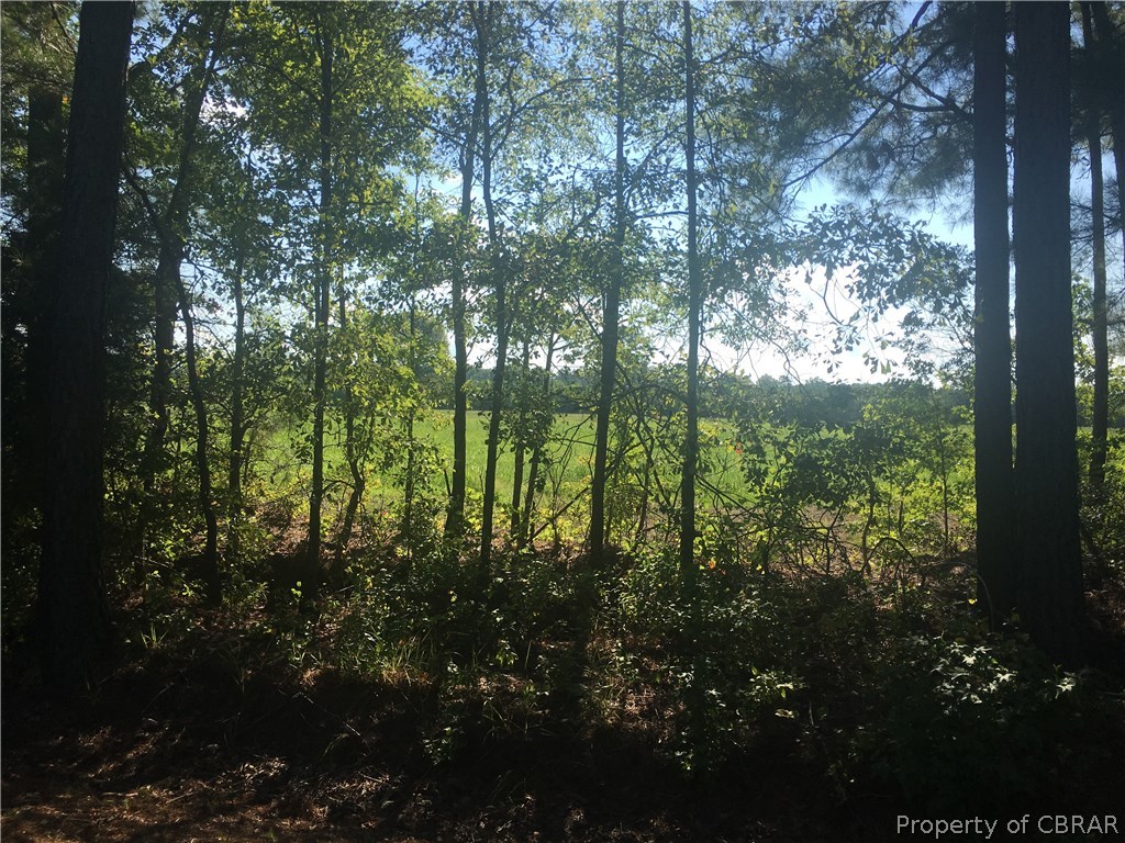 0 Peach Point Road Mathews, VA 23109 - Photo 14 of 14