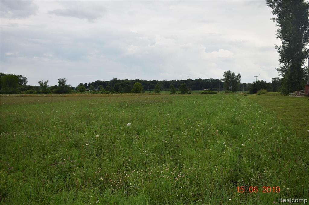 Parcel B & C Parcel B & C Daley Road Lapeer, MI 48446 - Photo 1 of 2