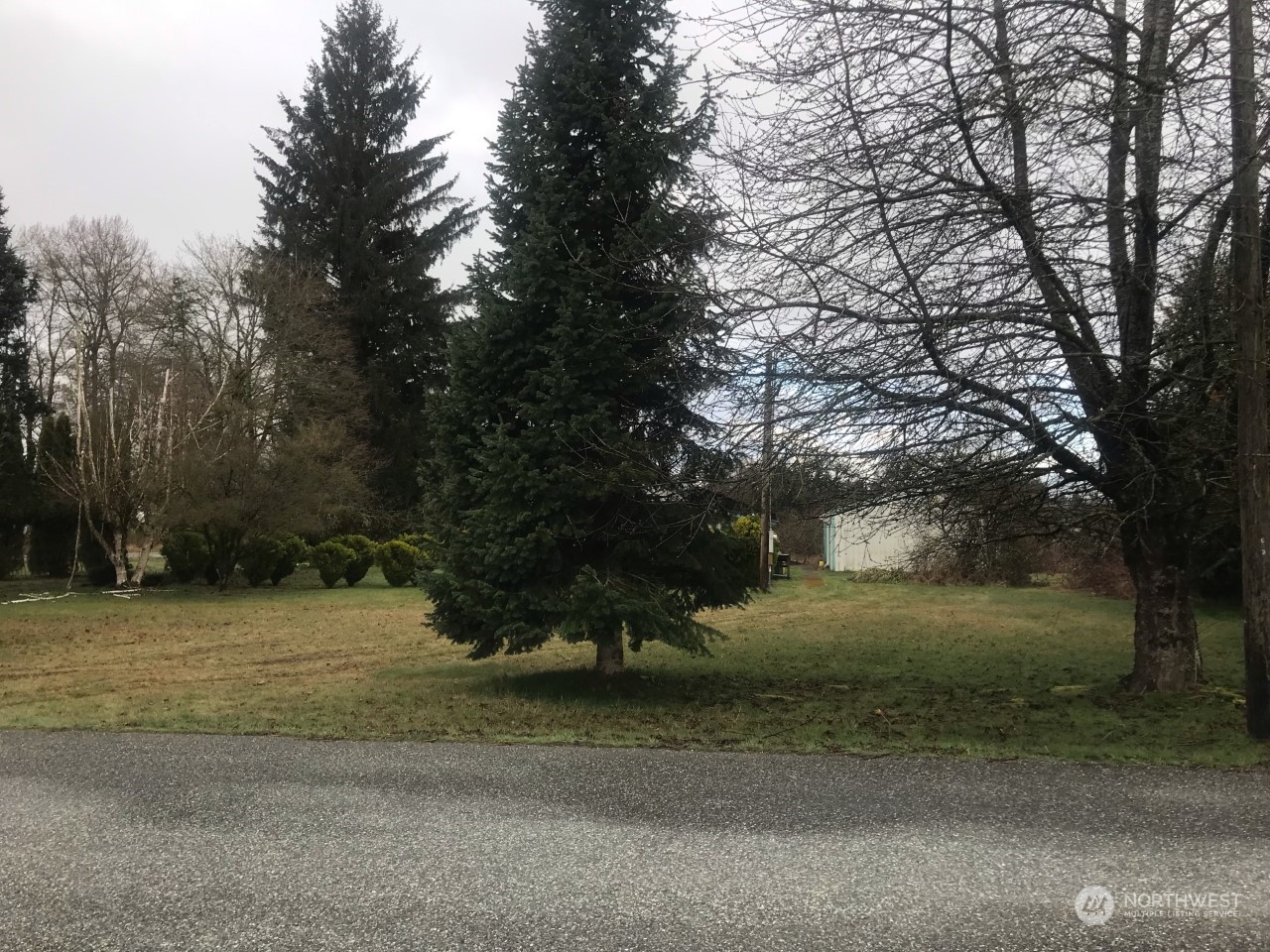 a view of backyard with green space