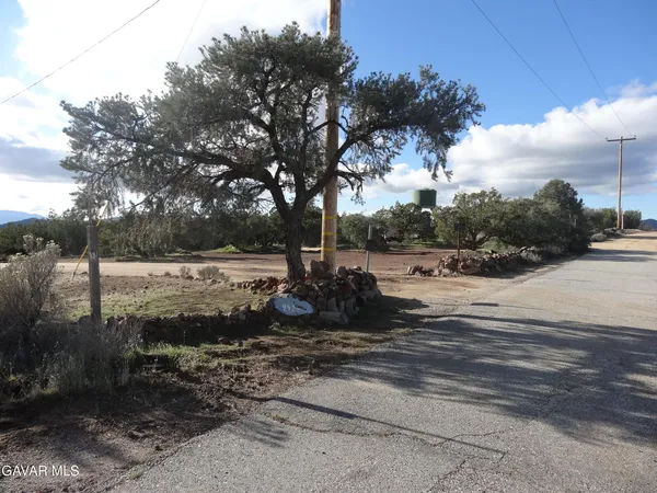 a view of a dry yard with wooden fence