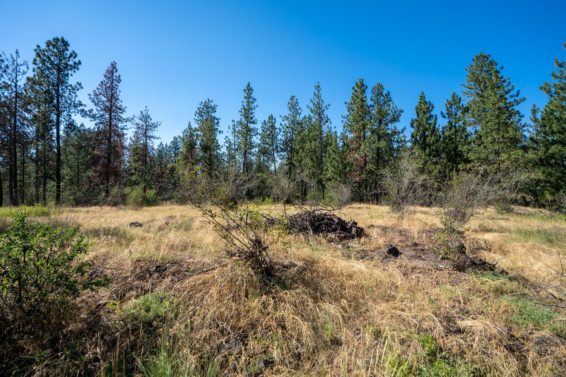 3840 South Trainor Road Spokane, WA 99224 - Photo 3 of 9 Gallery Image 3