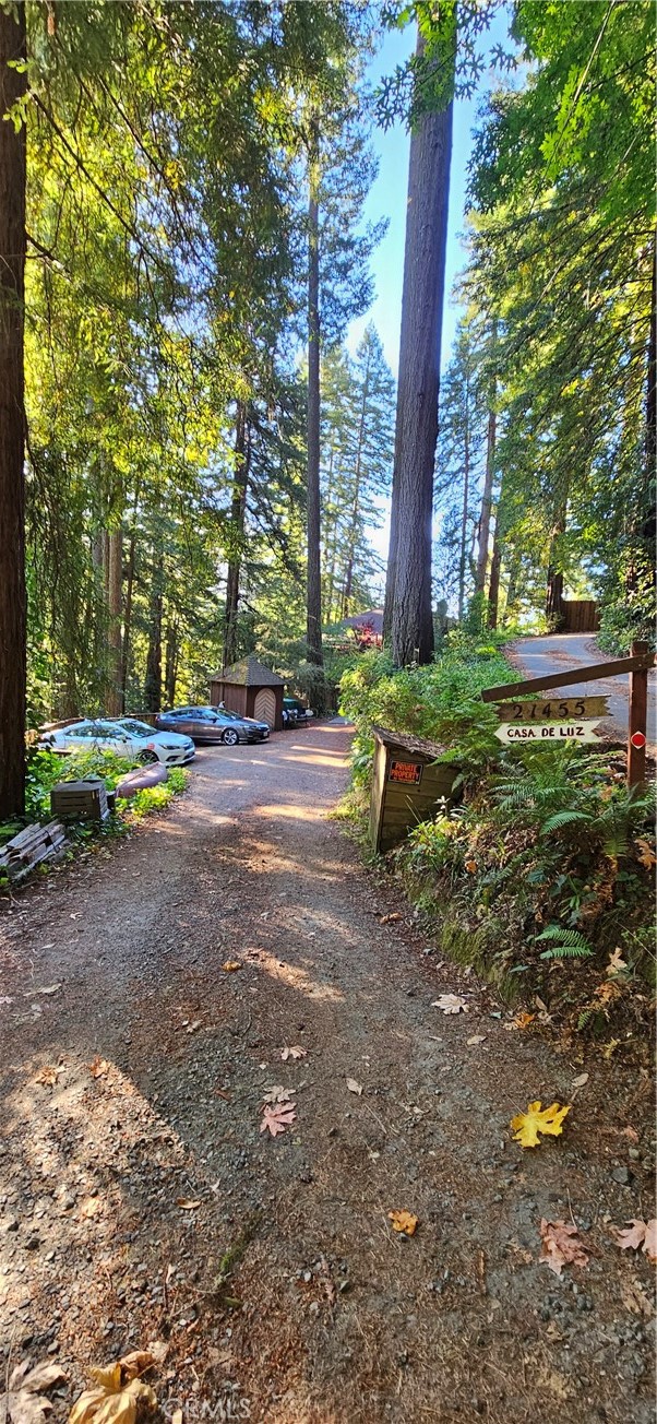 21455 Delta Way, Unit 1 Monte Rio, CA 95462 - Photo 21 of 38 Driveway going down to parking.