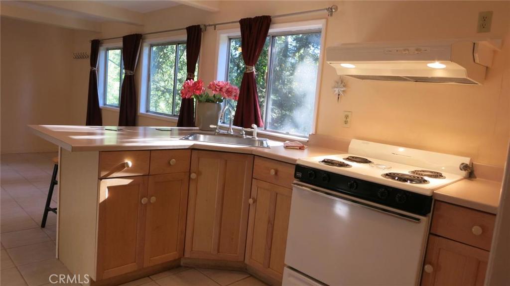 21455 Delta Way, Unit 1 Monte Rio, CA 95462 - Photo 4 of 38 Kitchen.