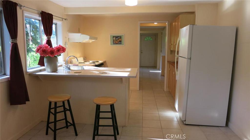 21455 Delta Way, Unit 1 Monte Rio, CA 95462 - Photo 6 of 38 Kitchen area.