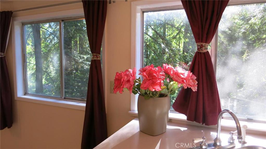 21455 Delta Way, Unit 1 Monte Rio, CA 95462 - Photo 7 of 38