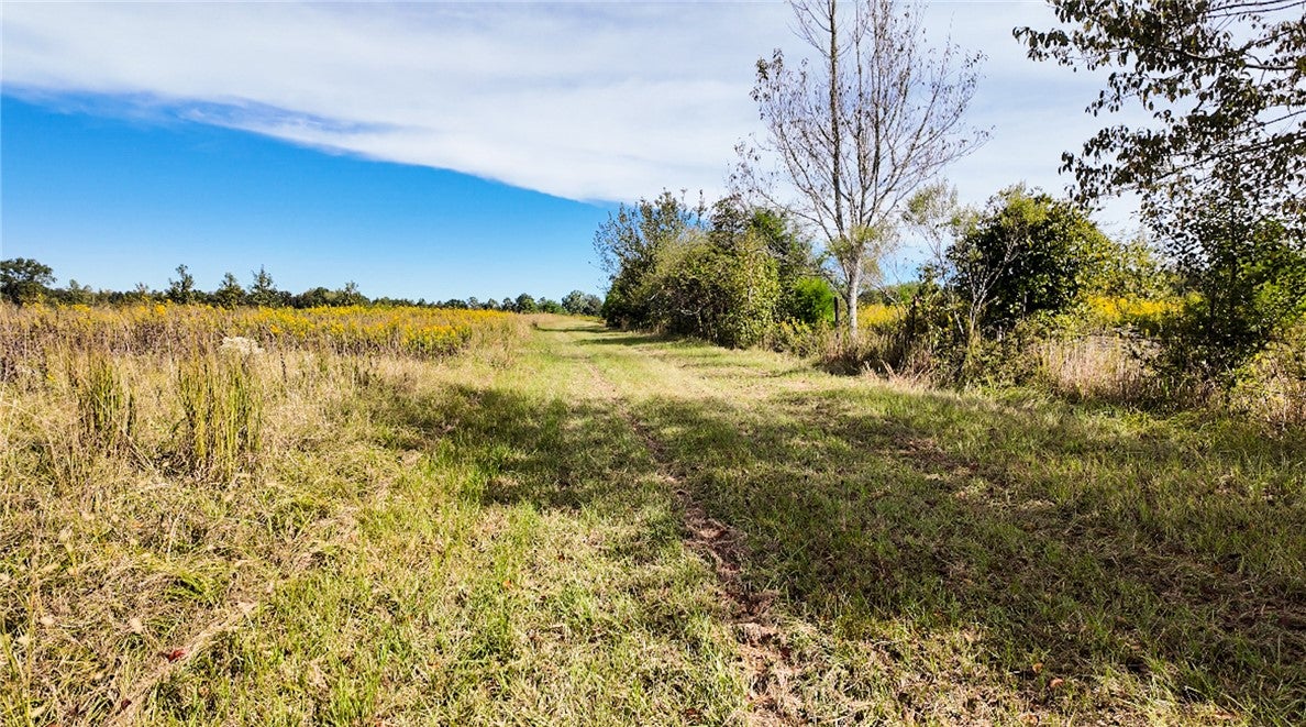 0 Pierce Road Waverly Hall, GA 31831 - Photo 6 of 16 Gallery Image 6