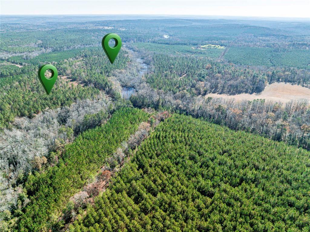 0 North Indian Trail Road Sandersville, GA 31082 - Photo 4 of 26