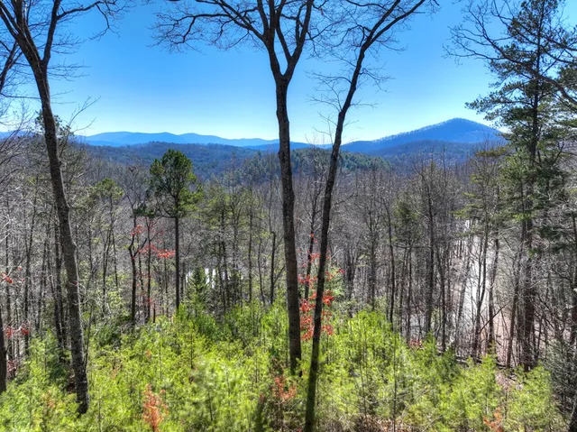 $725,000 | 78 Brass Hill Road, Blue Ridge, GA 30513