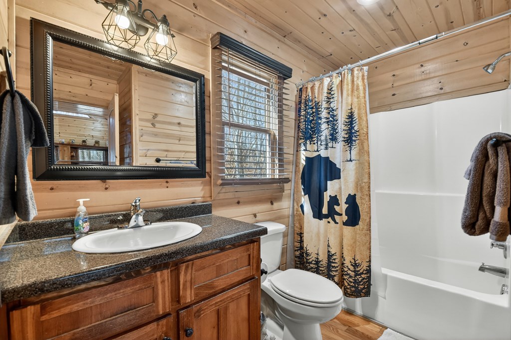 78 Brass Hill Road Blue Ridge, GA 30513 - Photo 22 of 44 a bathroom with a granite countertop sink toilet and shower