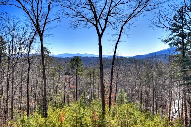 $725,000 | 78 Brass Hill Road, Blue Ridge, GA 30513